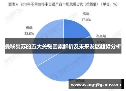曼联复苏的五大关键因素解析及未来发展趋势分析 曼联复苏的五大关键因素解析及未来发展趋势分析
