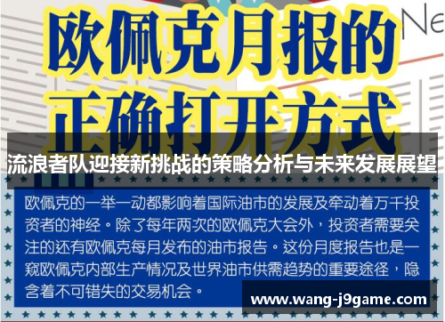 流浪者队迎接新挑战的策略分析与未来发展展望