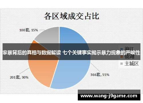 家暴背后的真相与数据解读 七个关键事实揭示暴力现象的严峻性