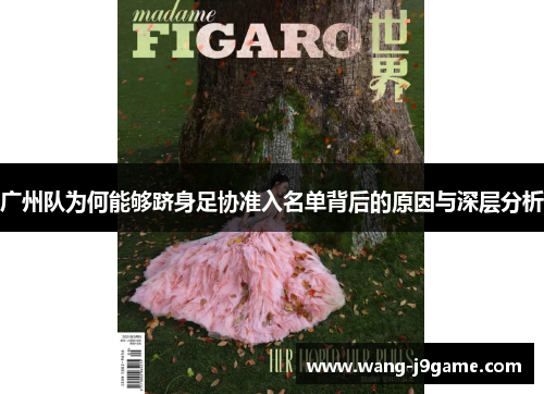 广州队为何能够跻身足协准入名单背后的原因与深层分析