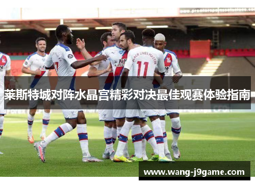 莱斯特城对阵水晶宫精彩对决最佳观赛体验指南