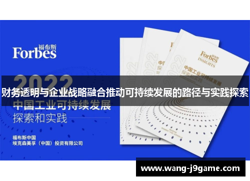 财务透明与企业战略融合推动可持续发展的路径与实践探索