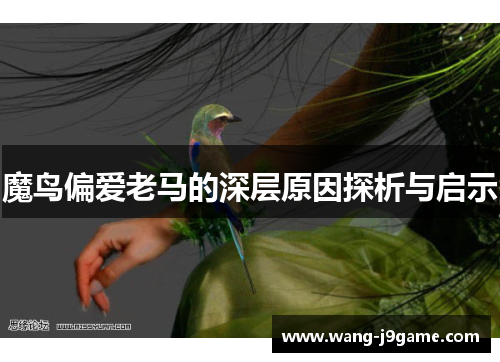 魔鸟偏爱老马的深层原因探析与启示